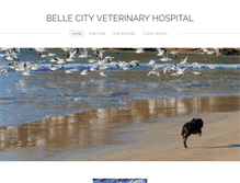 Tablet Screenshot of bellecityvet.com